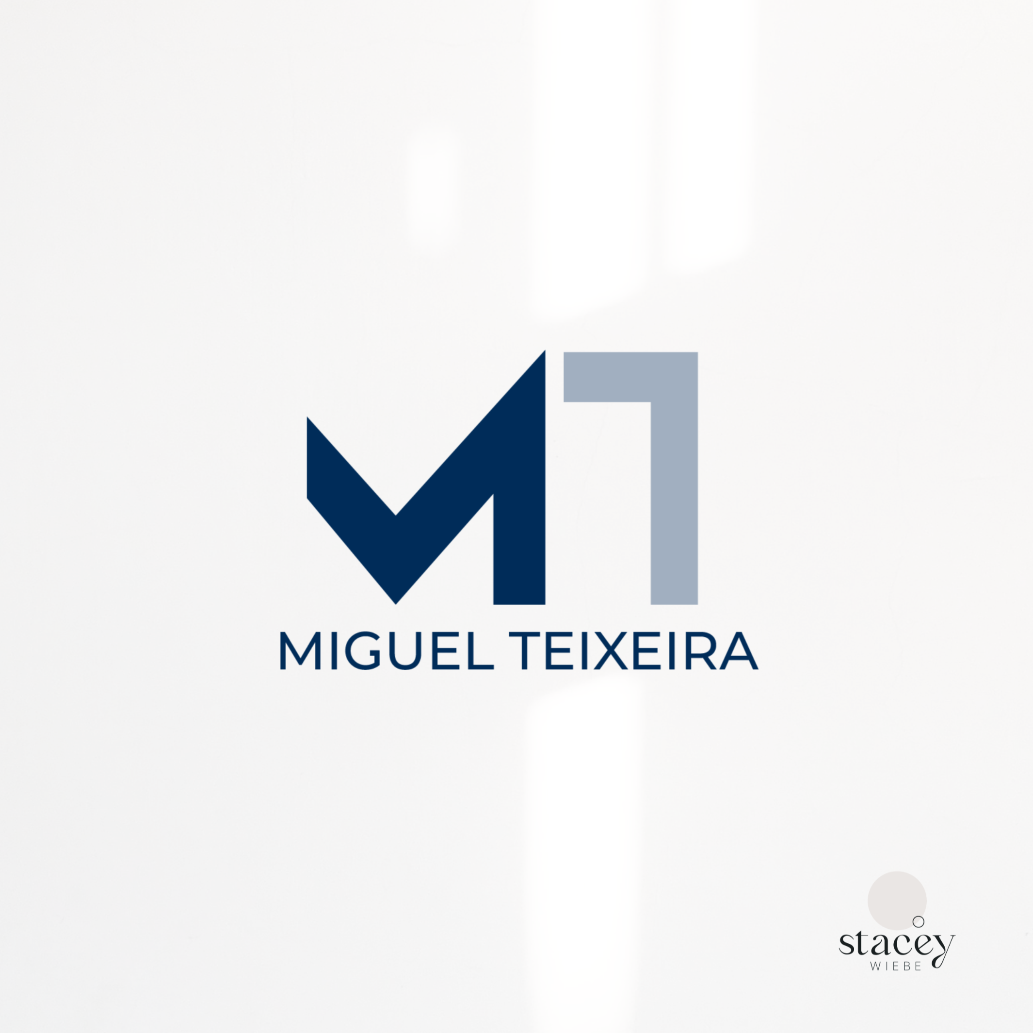 Miguel Teixeira Realtor logo design