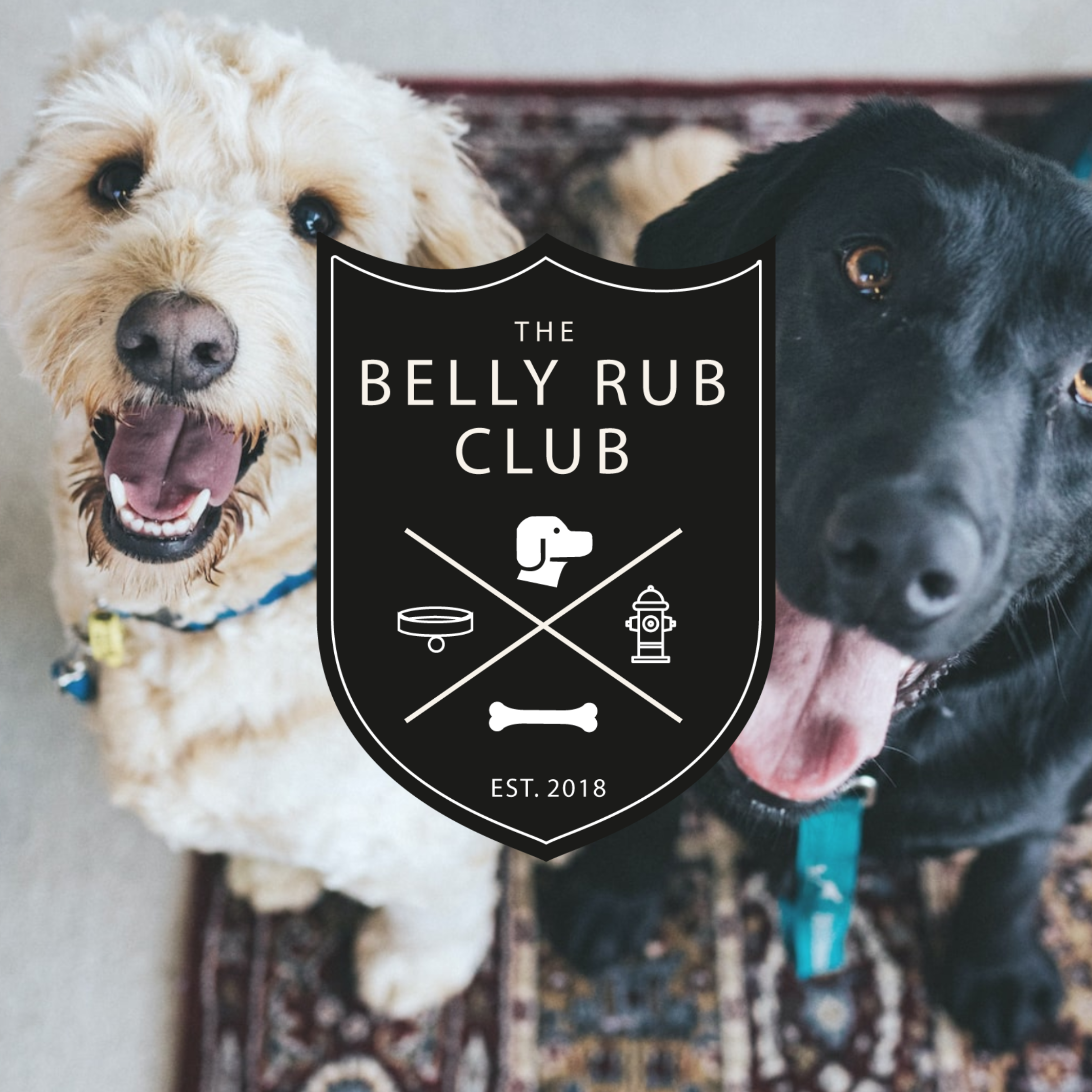 The Belly Rub Club logo feature